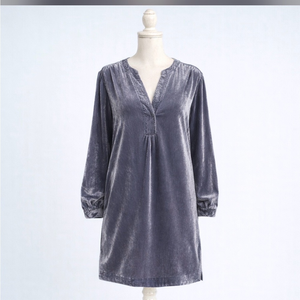 Anthropologie  Elegant Gray Velvet Dress